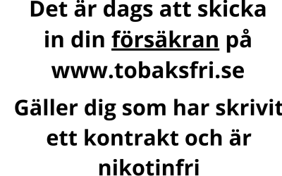 Vårlotteriet 2025